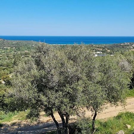Belgodère Charmant Petit Logement A 3 Kms De La Plage מראה חיצוני תמונה