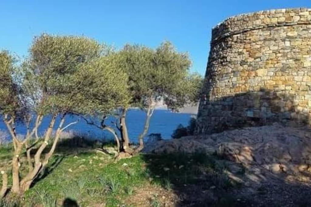 Belgodère Charmant Petit Logement A 3 Kms De La Plage מראה חיצוני תמונה