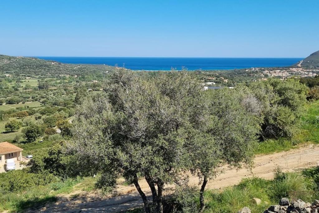 Belgodère Charmant Petit Logement A 3 Kms De La Plage מראה חיצוני תמונה
