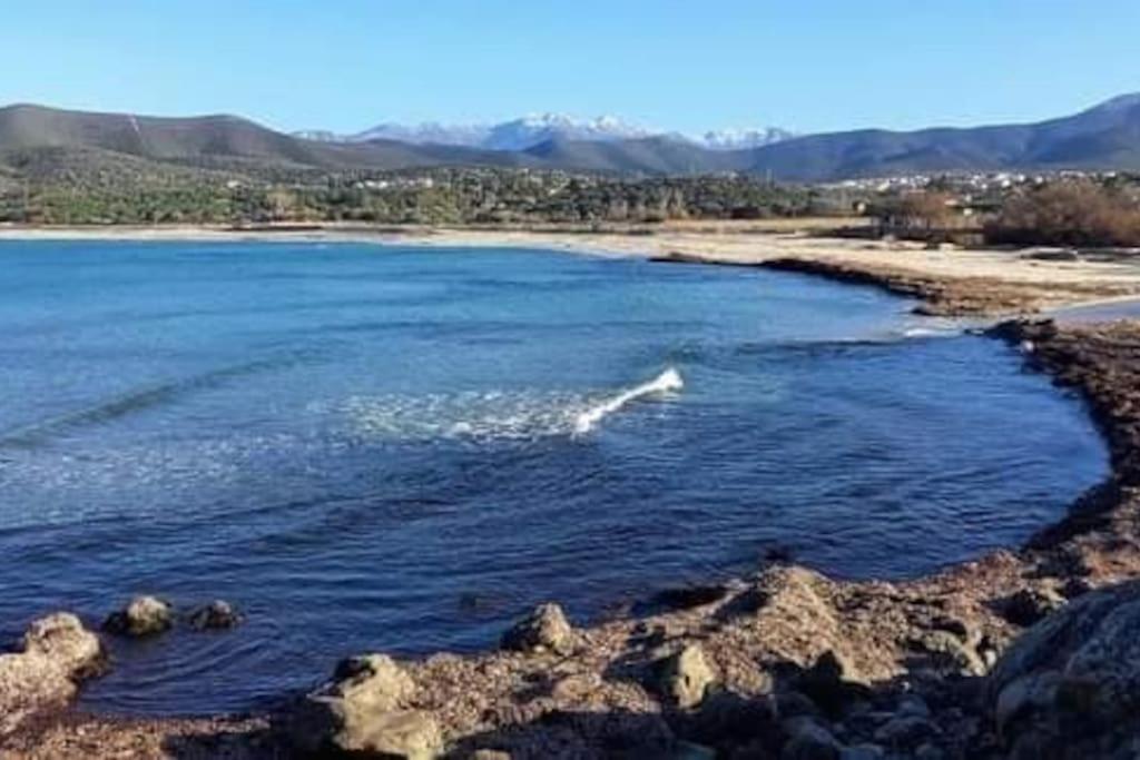 Belgodère Charmant Petit Logement A 3 Kms De La Plage מראה חיצוני תמונה