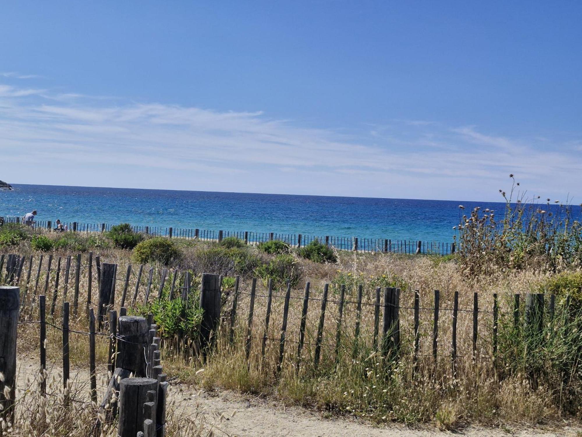 Belgodère Charmant Petit Logement A 3 Kms De La Plage מראה חיצוני תמונה